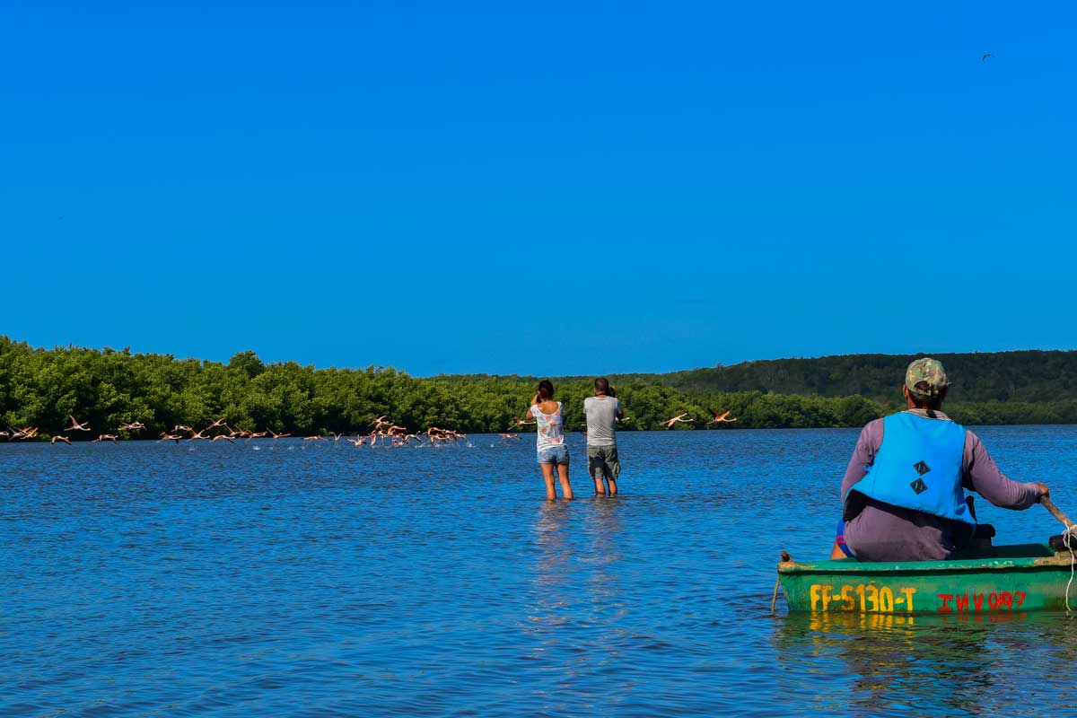a couple stading in a lake taking photos of pink flamingos