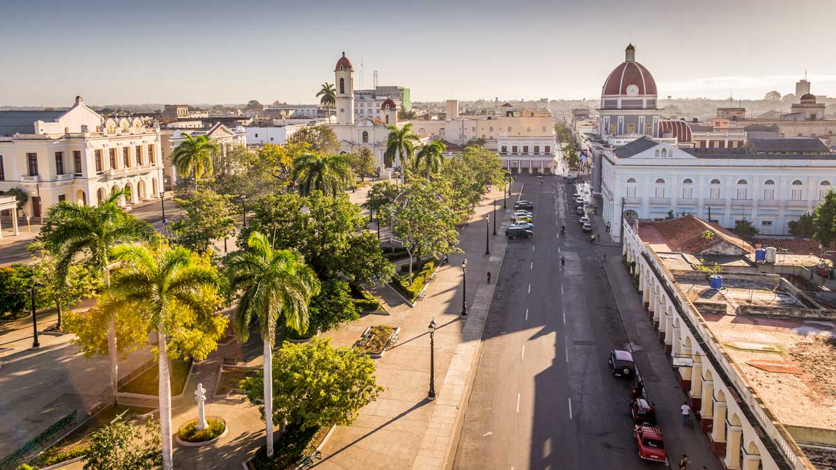 small city park with palm trees and streets with parked cars
