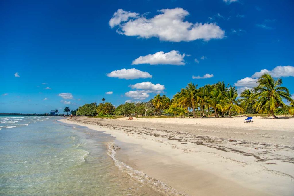 sandy beach wth palm trees