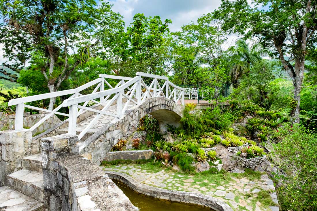 small stone brigde over a pond in a garden environment