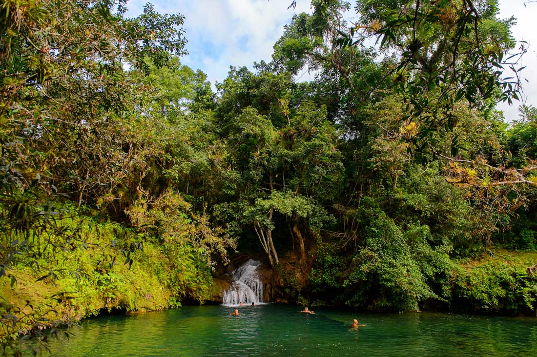 people swimming in a water pond with waterfall surrounded by forest